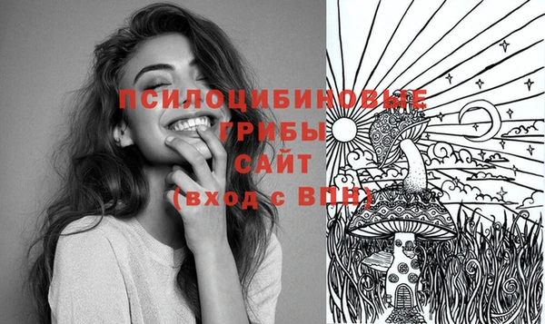 прущая мука Абаза